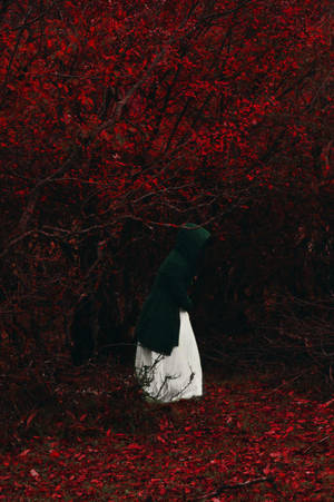 Man, Hood, Forest, Lonely, Loneliness, Autumn, Foliage, Red Wallpaper