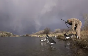 Man In Hunting Camo Petting Duck Wallpaper