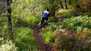 Man Mountain Biking Downhill Trail Wallpaper