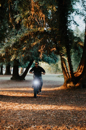 Man On Bike Best Autumn Phone Wallpaper