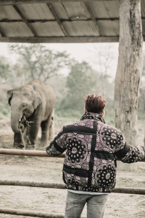 Man Wearing Jacket Elephant Iphone Wallpaper