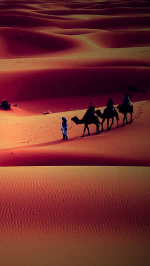 Man With Camels In A Desert Iphone Wallpaper