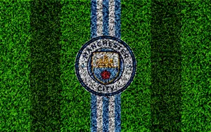 Manchester United Logo In Green Grass Wallpaper