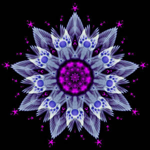 Mandala Purple Fractal Wallpaper