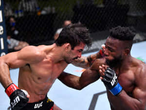 Manel Kape Side Punch Wallpaper