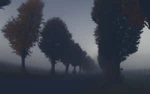 Maple Tree Dark Autumn Silhouette Wallpaper