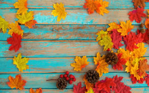 Maples Leaves And Acorns Wallpaper