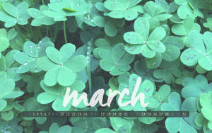 March With Clover Leaves Wallpaper