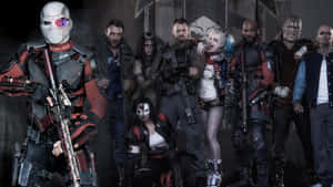 Margot Robbie As Harley Quinn In Suicide Squad Wallpaper