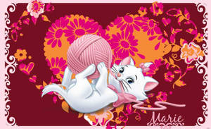 Marie Cat Playing Wallpaper