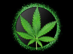 Marijuana Leaf Surrounded By Green Circles Wallpaper