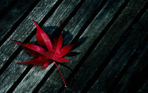 Marijuana Red Leaf On Wood Wallpaper