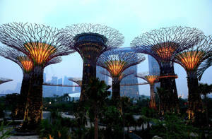 Marina Bay Sands Flowers Blocking Wallpaper