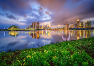 Marina Bay Sands Water Plants Across Wallpaper