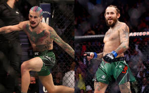 Marlon Vera Sean O'malley Wallpaper