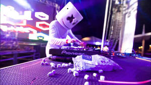 Marshmallow Dj Performing On Stage Wallpaper