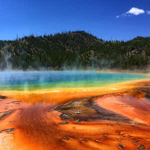 Marvel In The Breathtaking Views Of Yellowstone National Park Wallpaper