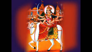 Mataji White Cow Wallpaper
