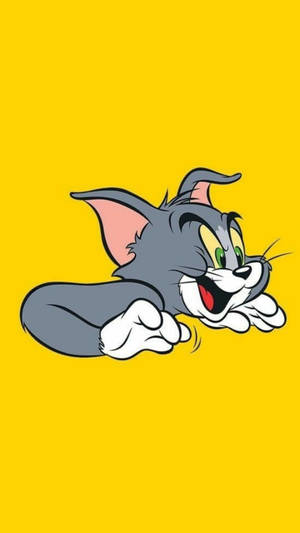 Matching Bff Tom And Jerry Wallpaper