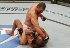 Mauricio Rua Pride Middleweight Grand Prix Champion. Wallpaper