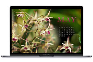 May 2022 Calendar 2000 X 1328 Wallpaper