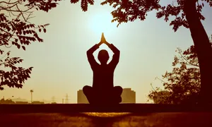 Meditation Iphone On Tree Wallpaper