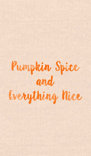 Meet Cute Orange Wallpaper