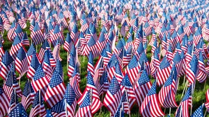 Memorial Day Flags On Grass Wallpaper