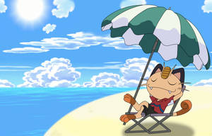 Meowth Sleeping In The Beach Wallpaper