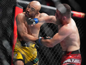 Merab Dvalishvili Punching Aldo Wallpaper