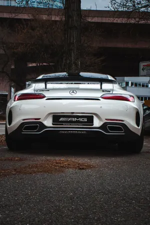 Mercedes Amg Gtr Back View Shot Wallpaper