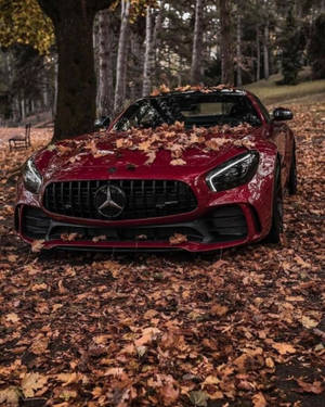 Mercedes Amg Gtr Showcasing Its Sleek Design Amidst The Vibrant Colors Of The Autumn Season. Wallpaper