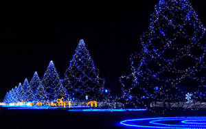 Merry Christmas Tree Lights Wallpaper