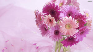 Mesmerizing Blossom Of Pink Flower Wallpaper