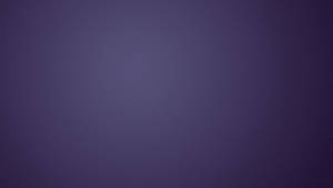 Mesmerizing Purple Hue Backdrop Wallpaper