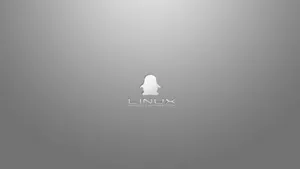 Metallic Linux Desktop Tux Logo Wallpaper