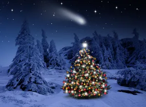 Meteor Passing By A Christmas Forest Wallpaper