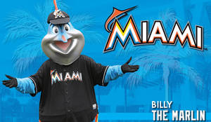 Miami Marlins Billy Wallpaper