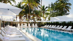 Miami Pool Resort Wallpaper