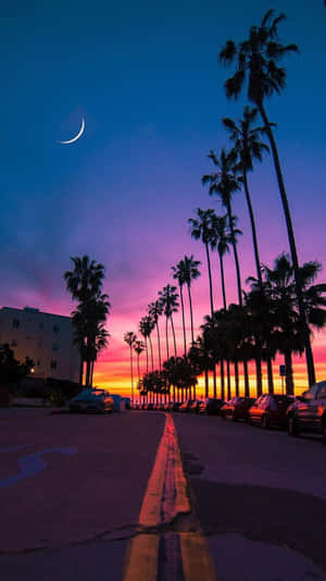 Miami Sunset And Palm Trees Iphone Wallpaper