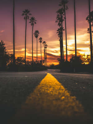 Middle Of Road With Evening Sky Wallpaper