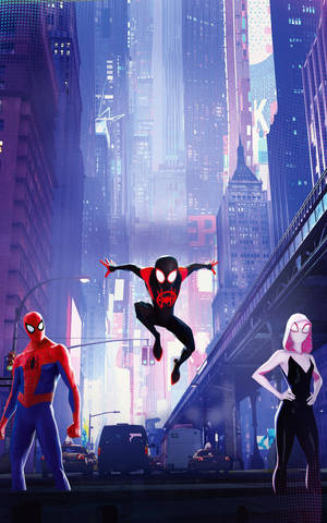 Miles Morales Trio Spider-verse Wallpaper