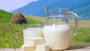Milk And Cheese At A Pasture Wallpaper