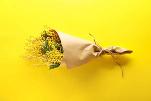 Mimosa Flower Bouquet Wallpaper