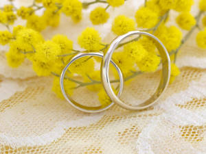 Mimosa Flowers And Rings Wallpaper