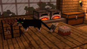 Minecraft Aesthetic Black Cat Boxes Wallpaper
