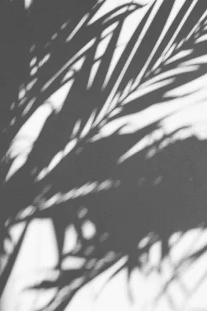 Minimal Aesthetic Black Shadow Wallpaper