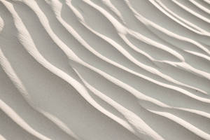 Minimal Off White Sand Wallpaper