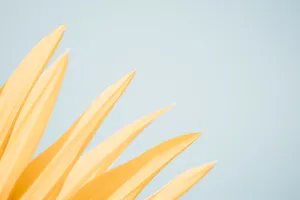 Minimal Yellow Petals Wallpaper