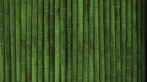 Minimalist Bamboo Hd Wallpaper